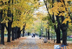 Максималните температури ще достигнат до 25°През нощта времето ще бъде предимно