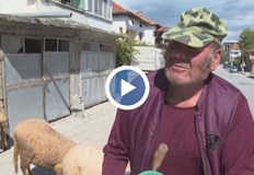 Бай Иван Псува се навсякъде Я псувам всякъде овцете коня