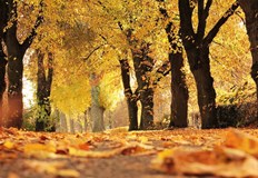 В сряда на места дневните температури ще достигнат 25