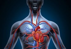 Солта се приема за един от основните виновници за високото