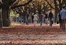 Месечната сума на валежите ще бъде около и под норматаНай ниските