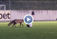 Забавно видео е публикувано на страницата на разградския футболен клуб