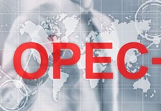 Това споразумение представлява най голямото намаление на добивите на петрол от