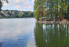 За това алармираха рибари и хора които се разхождат в