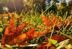  Температурите започват плавно да се понижаватВ сряда облачността ще бъде