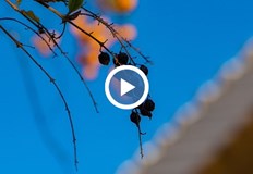 Експерти предупреждават че Европа може да бъде ударена от студен