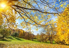 Максималните температури ще са между 22° и 27°Утре ще е