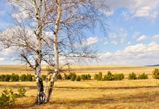 Максималните температури ще са между 20° и 25°През нощта ще
