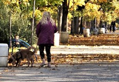 Зимният сезон настъпва и все повече домакинства търсят алтернативни на