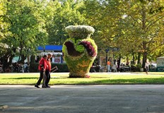 Единайсет души са оздравелите през вчерашния ден като няма починалиБлизо