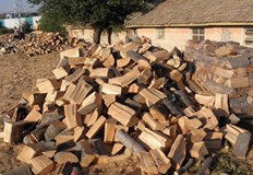 Откритата дървесина е била без контролна горска марка без превозен