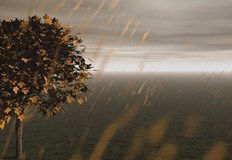 Силен вятър ще има в деня на вотаВ събота все