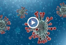 Няма доказани случаи на грип до момента съобщи тяНяма доказани случаи на грип до