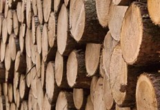 Кубик дърва в Румъния ще струва 158 леваРумънското правителство одобри