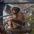 Маймуна захапа ръката на дете в Столичния зоопарк