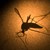 Учени обясняват защо някои хора са като магнити за комарите