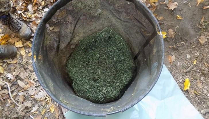 На място са били намерени и близо 18 килограма марихуана, готова за продажба