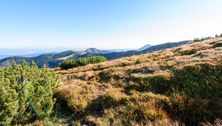 Времето ще е топло за втората половина на октомври Времето ще е топло за втората половина на октомври