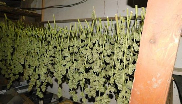 Баща и син са задържани за пласиране на наркотични вещества на територията на Разградска област