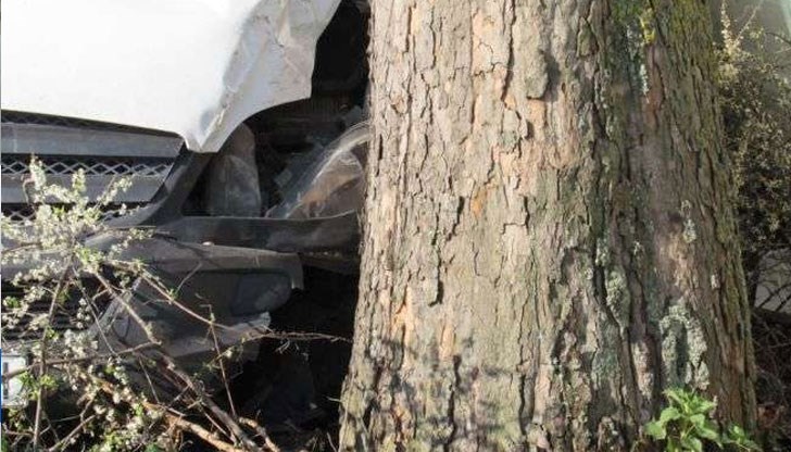 Товарният автомобил се е отклонил вляво по посока на движението и се е ударил в дърво