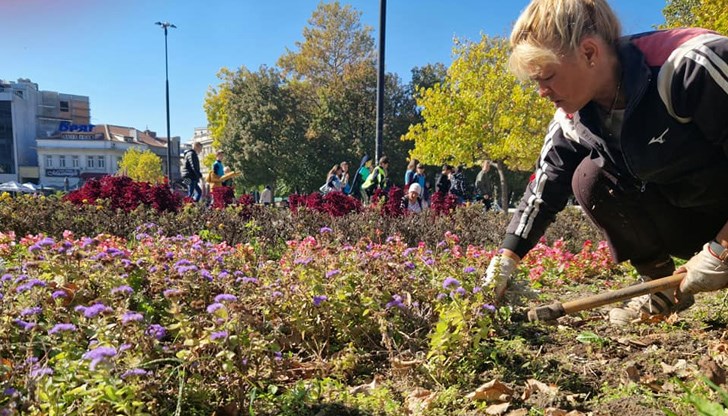 Служителите на "Паркстрой" обновяват централните градинки