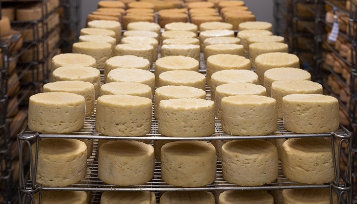 Освен това, двата продукта регистрират и най-голяма разлика в цените по области