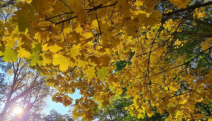 Минималните температури ще са между 1° и 6° Минималните температури ще са между 1° и 6°