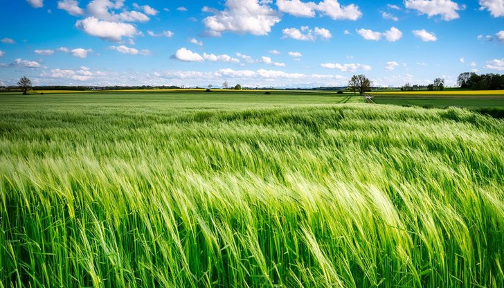 Териториалният офис в Русе на Националната служба за съвети в земеделието ще подпомага фермерите безвъзмездно при изготвянето на проектите Териториалният офис в Русе на Националната служба за съвети в земеделието ще подпомага фермерите безвъзмездно при изготвянето на проектите