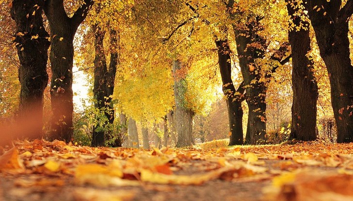 Времето ще остане по-топло от обичайното Времето ще остане по-топло от обичайното