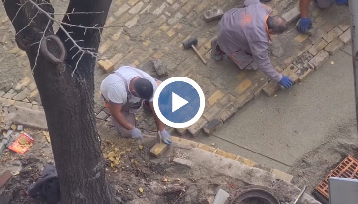 За допуснатото умишлено увреждане е изпратен сигнал и до Софийска градска прокуратура