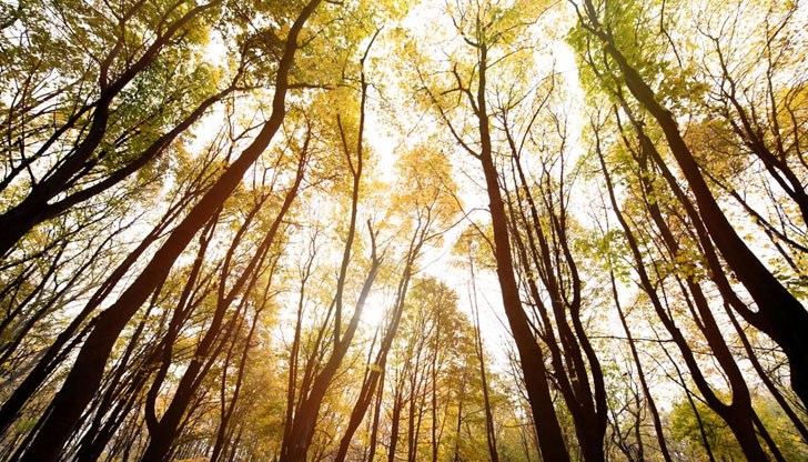 Минималните температури ще бъдат между 0 и 13°, а максималните – от 19° до 24° Минималните температури ще бъдат между 0 и 13°, а максималните – от 19° до 24°