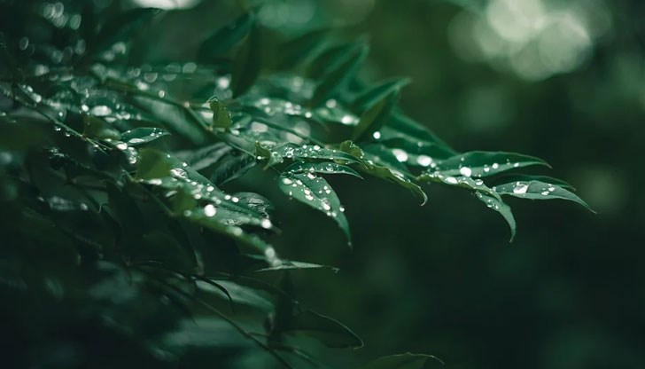 Максималните температури ще са предимно между 15° и 20° Максималните температури ще са предимно между 15° и 20°