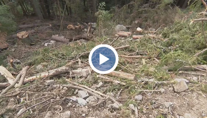 Ще предприемат ли мерки институциите?