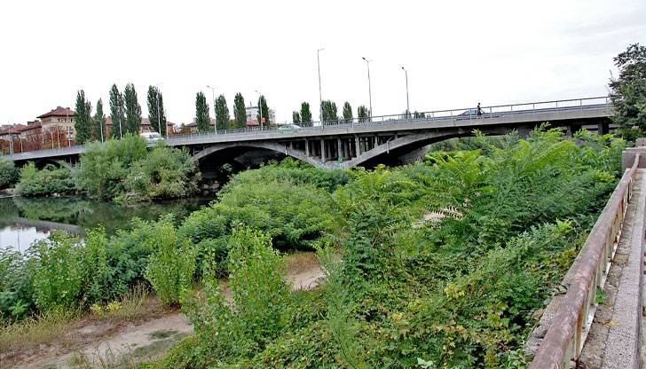 Пловдивчани, които са притеснени от неефективното с години почистване на коритото на реката, са пуснали жалби до Диана Ковачева