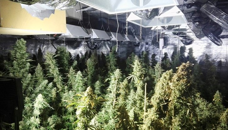 Бандити наемат жилища в панелки, за да не ги хванат по използването на ток Бандити наемат жилища в панелки, за да не ги хванат по използването на ток