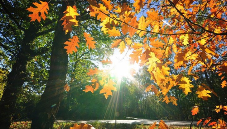 От 26 октомври започва циганското лято, съобщи синоптикът Петър Янков От 26 октомври започва циганското лято, съобщи синоптикът Петър Янков