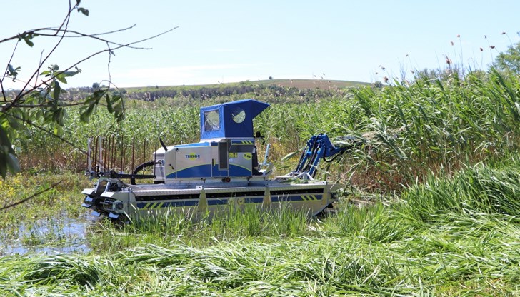 През 80-те години на миналия век тръстиката се е косяла на ръка