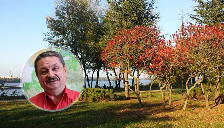 След Димитровден можем да очакваме циганското лято След Димитровден можем да очакваме циганското лято