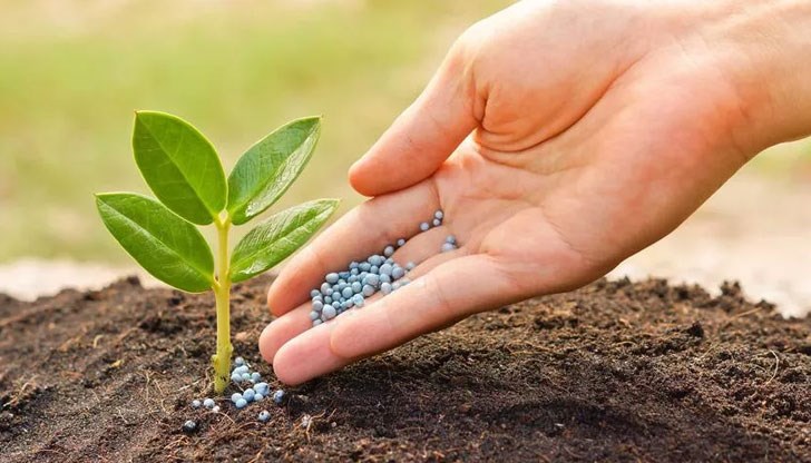 Кристалните торове ще ви помогнат да отгледате здрави растения и да се радвате на прекрасни цветове и богата реколта Кристалните торове ще ви помогнат да отгледате здрави растения и да се радвате на прекрасни цветове и богата реколта