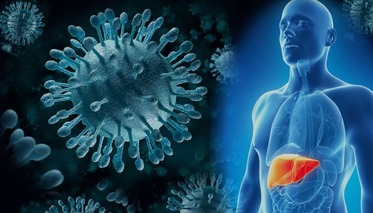 Едва 1% от заразените с хепатит у нас се лекуват Едва 1% от заразените с хепатит у нас се лекуват