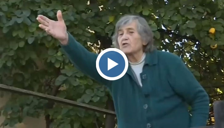 Седнал да пие отсреща в денонощния магазин, а пуска детето си да търчи с пълна газ пред колите, заяви тя