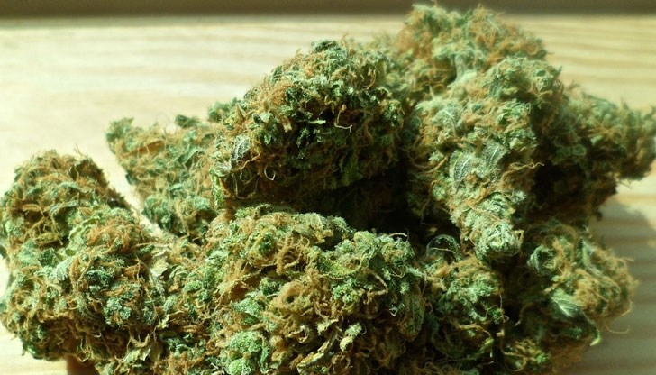 Планът ще гарантира контрол на качеството, като същевременно защитава младите хора Планът ще гарантира контрол на качеството, като същевременно защитава младите хора