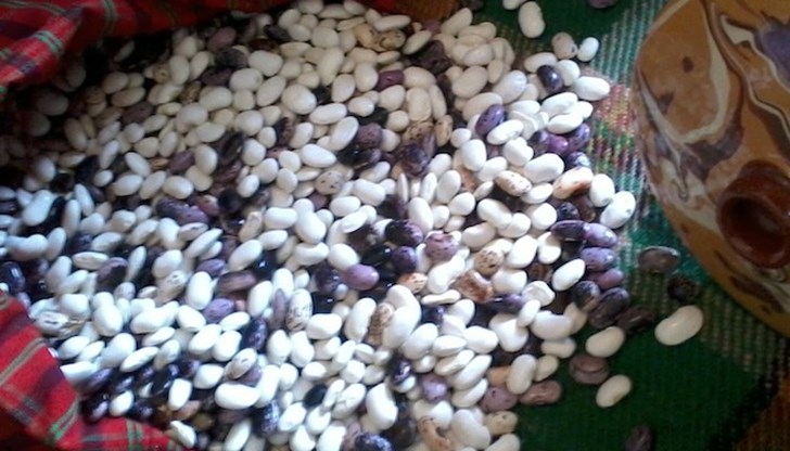 Куриери правят доставки на смилянски боб из страната