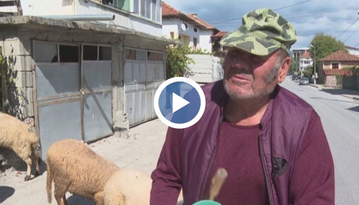 Бай Иван: Псува се навсякъде. Я псувам всякъде овцете, коня, жената. С това се занимавам аз, друго няма