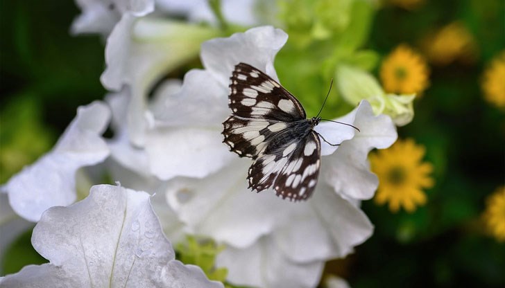 Вторникът идва със слаби валежи и хладно време