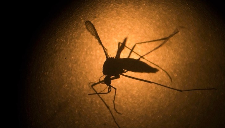 Хората, които привличат комарите, имат високи нива на определени киселини по кожата си