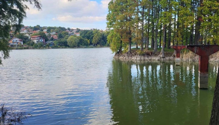 За това алармираха рибари и хора, които се разхождат в района За това алармираха рибари и хора, които се разхождат в района