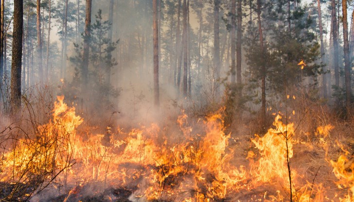 Сигналът е подаден преди минути Сигналът е подаден преди минути
