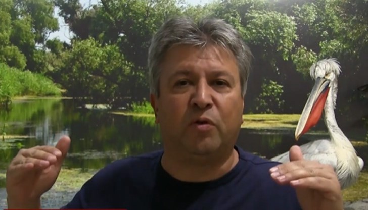 Идеята е на ръководителя на русенския Екомузей