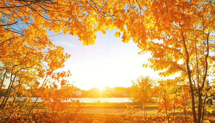 През цялата следваща седмица ще има много слънцеВ социалните мрежи